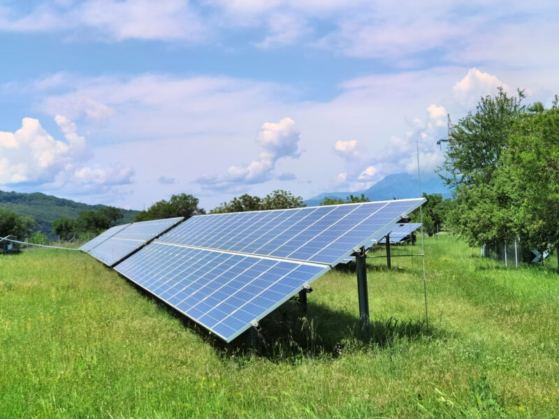 Agri-Photovoltaik: Solarmodule auf einer Wiese.